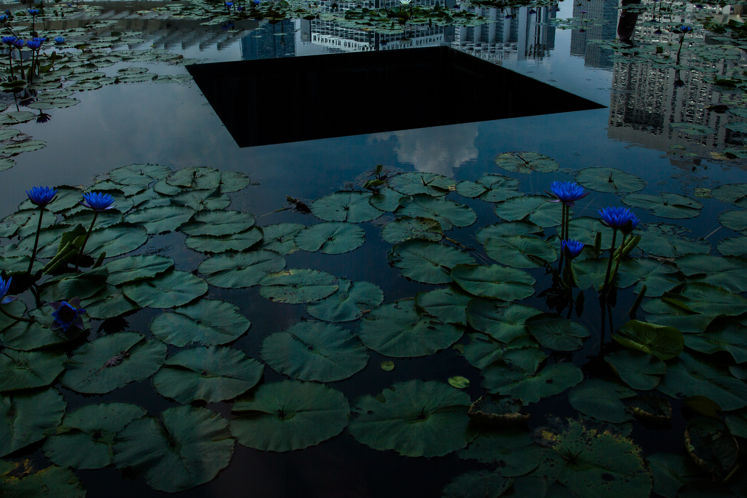 Die Fotoserie beschäftigt sich mit der zukünftigen Ununterscheidbarkeit von Realität und Simulation. Die Fotografien sind dystopische Inszenierungen futuristisch anmutender Szenen und Momente in Singapur und offenbaren erst bei genauerem Hinsehen ihre Fiktionalität: eine Schlange aus Holz, das Firmament aus LEDs oder das Roboter-Double seiner Schöpferin Nadia Magnenat-Thalmann - alles Meisterwerke der Illusion. Ergänzt durch Gesprächsausschnitte mit einer App, die das Sprachverhalten des Gegenübers imitiert, verwischt die Serie die klaren Grenzen der Realitätsebenen. © 2017 Julia Steinigeweg / Agentur Focus