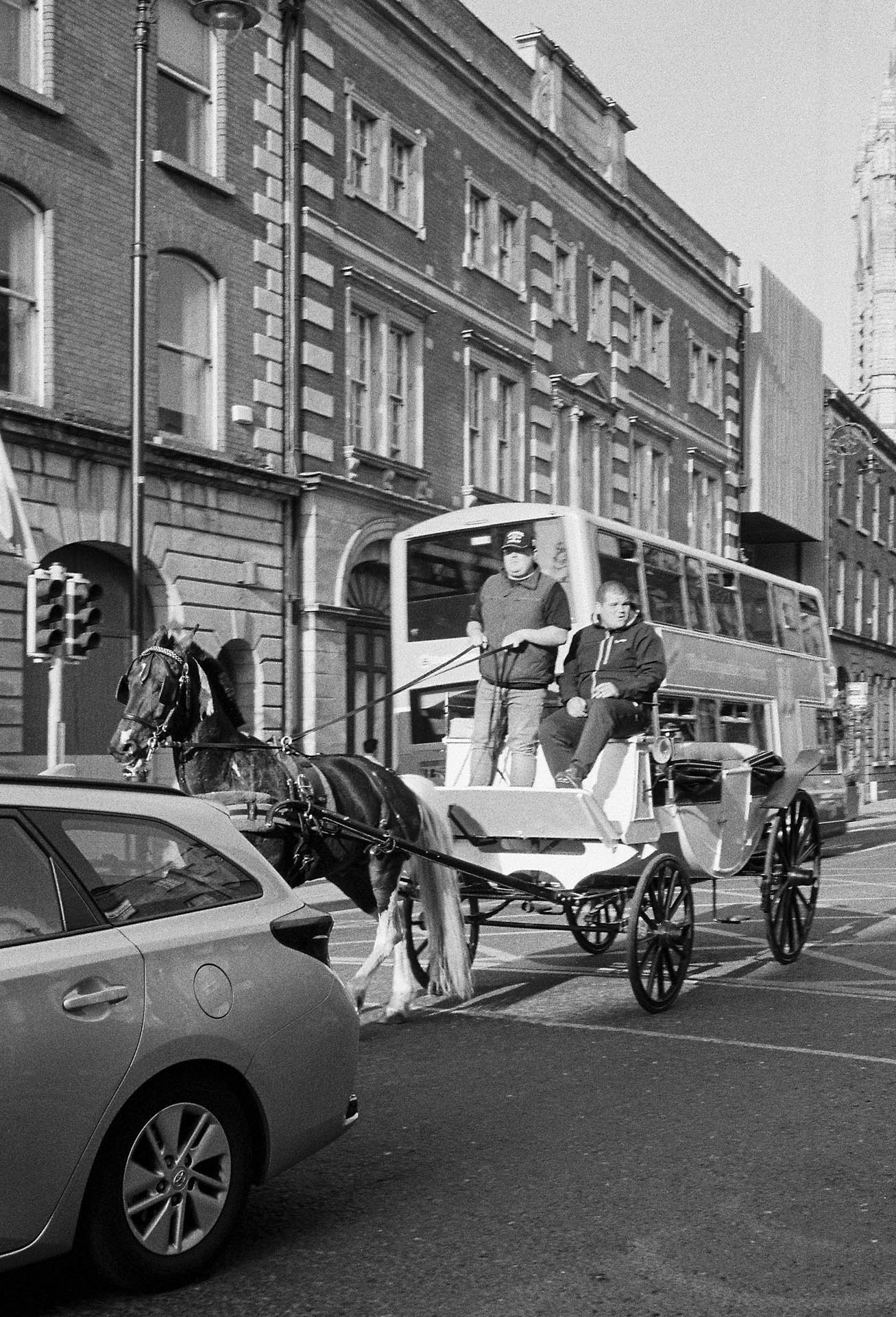 Kutsche in Dublin. Sobald die Kutscher ihre Kundschaft zu der gewünschten Destination gebracht haben, geht es im Eiltempo zurück zur Brauerei, dem Ausgangspunkt der Touren. Die Pferde sind sich an den Verkehr gewöhnt. Mai 2022, Dublin, Irland. © Noemi Ehrat