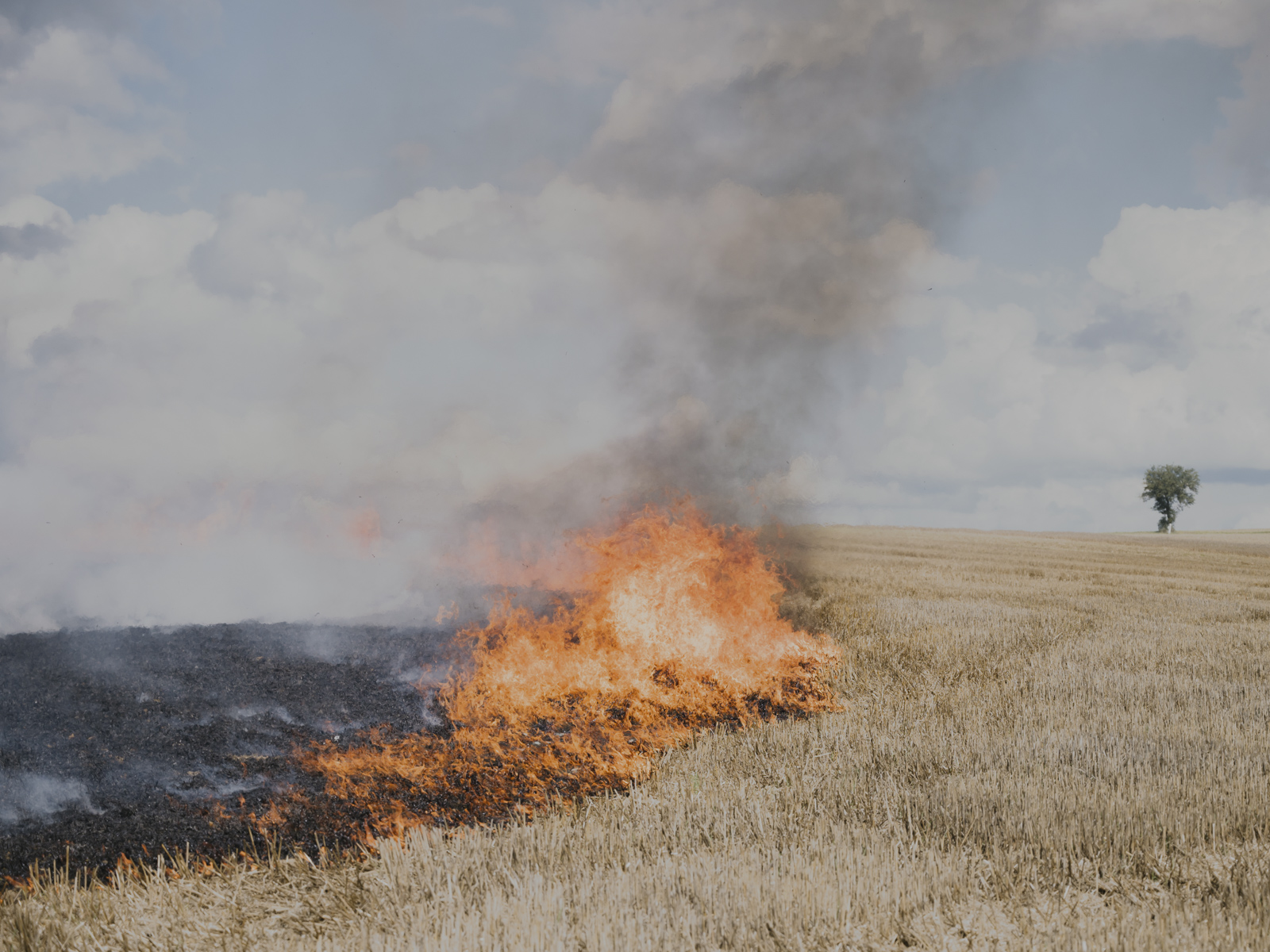 Ein Flächenbrandtraining für die freiwillige Feuerwehr in Newel. Das wachsende Interesse an Schulungen zur Bekämpfung von Wald- und Flächenbränden spiegelt die zunehmende Bedrohung in Deutschland wider. Der Klimawandel erhöht das Risiko von Bränden in den kommenden Jahrzehnten erheblich, da das sogenannte Brandwetter, gekennzeichnet durch hohe Temperaturen, wenig Niederschlag und starke Winde, häufiger auftreten wird. 26.08.2023, Newel, Deutschland. © 2023 Maximilian Mann / DOCKS