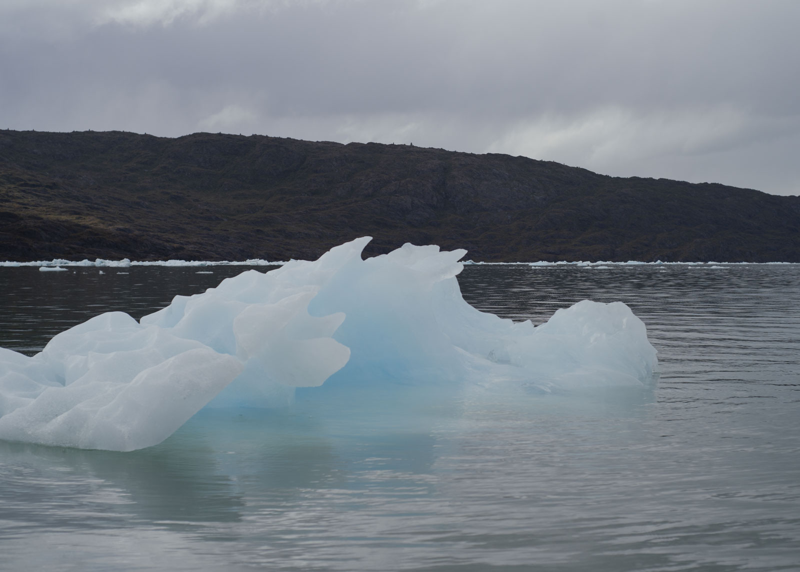 Dreitausend Erdumrundungen mit 0,5l Wasserflaschen - so viel Wasser steht Waters of Patagonia jährlich für ihr Wasserabfüllgeschäft zur Verfügung. Die Firma besitzt Wasserrechte am Gletschersee Lago Jorge Montt und verfügt über ein Patent zur Bestimmung des Alters des Wassers. Neben dem Da Vinci-Wasser verkaufen sie auch Stardust-Wasser. 9.1.2024, Gletscher Jorge Montt, Chile, © 2024 Stella Meyer und Sarah Schneider.