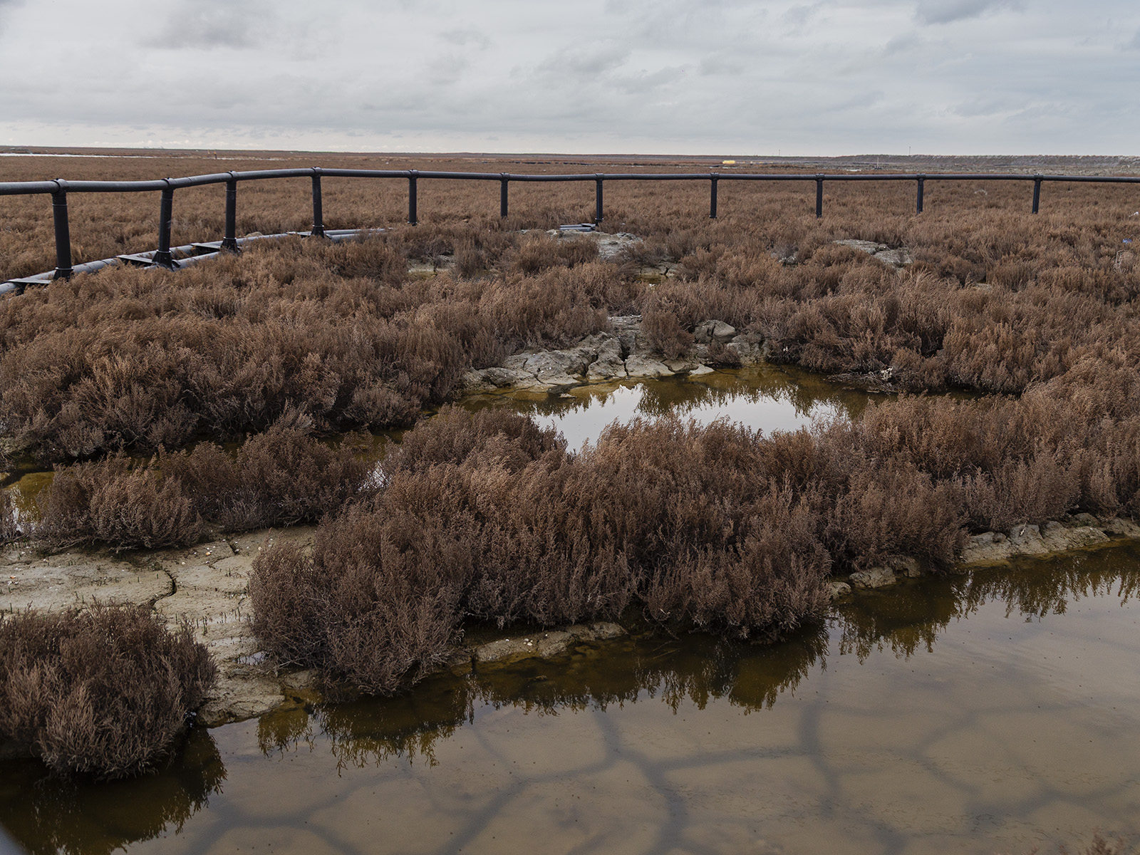 Ausbaggerung - Die Wasserstrasse zwischen dem Hafen von Torkaman und der Insel Ashuradeh, deren Länge auf etwa zwei Kilometer geschätzt wird, ist ein Teil des Golfs von Gorgan. In den vergangenen Jahren hat sich dieses Gebiet aufgrund des Rückzugs des Meerwassers sowie verstärkter Sedimentablagerungen zusehends verändert. Ein erheblicher Teil der Küstenlinie auf der Hafenseite ist mittlerweile ausgetrocknet. Um diesem Prozess entgegenzuwirken werden derzeit Ausbaggerungsmassnahmen in dem betroffenen Gebiet durchgeführt. 9.4.2024, Torkaman Hafen (Golestan Province), Iran, © 2024 Armina Ahmadinia.