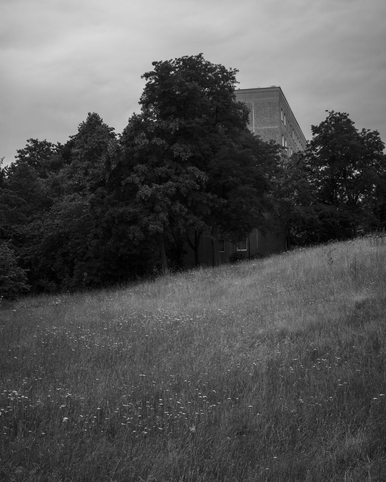Der Blick auf das 101. Plattenbauviertel der DDR, Bad Salzungen, Deutschland, © 2023 Michel Kekulé.