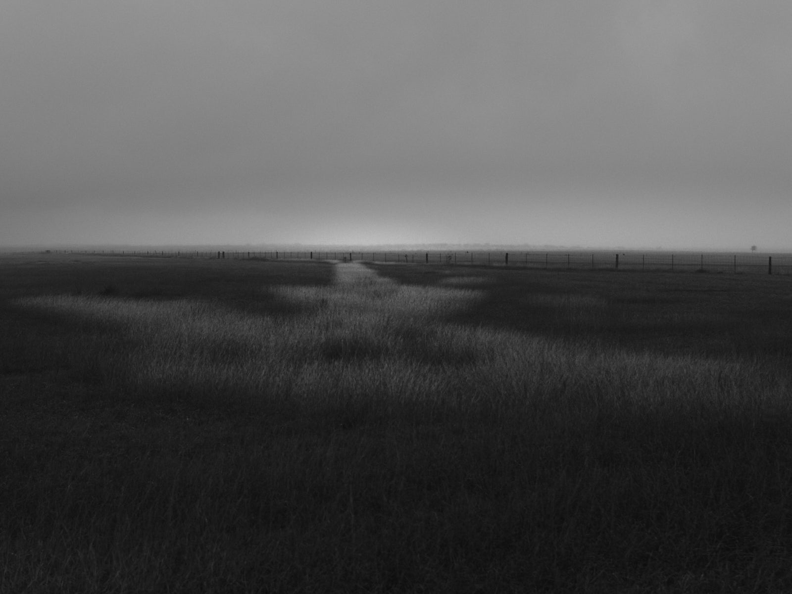 Ein Feld ausserhalb der Stadt San Patricio. Die Landschaft hier sah früher ganz anders aus. Irische Siedler, die die Stadt gründeten, führten neue Pflanzenarten ein und verwandelten das umliegende Land in Ackerland. 23.02.2025, San Patricio, Texas, USA, © 2026 Alexander Nowak