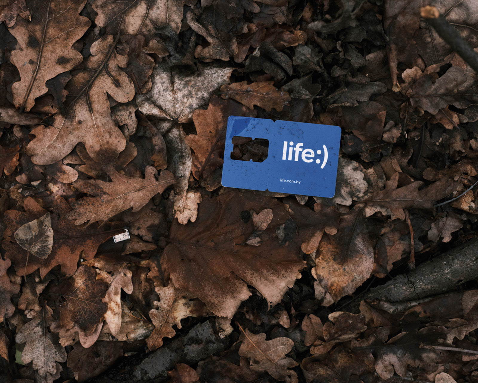 Belarussische Mobilfunk-Karte mit der Aufschrift «life :)». Gefunden in unmittelbarer Nähe der deutschen Uferseite der Oder-Neisse Grenze in einem kleinen Waldabschnitt. Entlang des Ufers finden sich hunderte zurückgelassene Objekte die von den Herausforderungen und dem Ausmaß der Flucht Richtung Europa erzählen., 26/02/2025, Guben, Deutschland, © 2025 Lester Kielstein