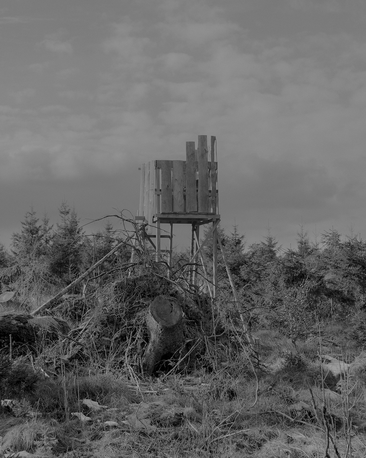 Ein Hochsitz im Schwarzwald. Ein Ort an dem ich mit meinem Vater als Kind oft war. Früher war der Hochsitz noch von Wald umgeben, aber durch den Klimawandel änderte sich dies über die Jahre. 25.01.25, Schonach im Schwarzwald, Deutschland, © 2025 Moritz Schorpp