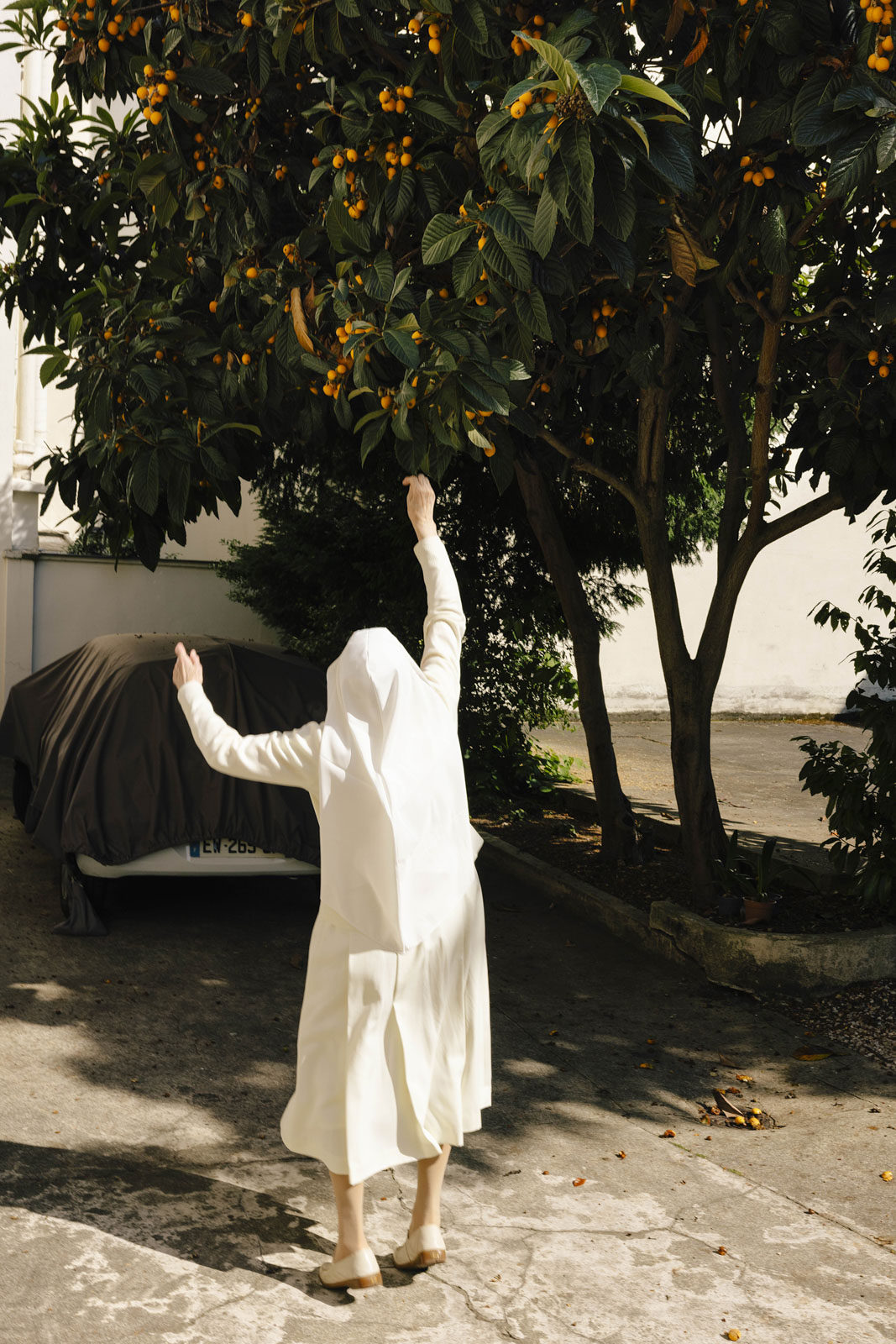 Sor Piedad Lacunza (Balbina Lacunza) versucht, die Mispeln vom Baum zu greifen. Aufgenommen im Kloster der Siervas de María. 13.06.2023, Paris, Frankreich © 2023 Nerea Lakuntza